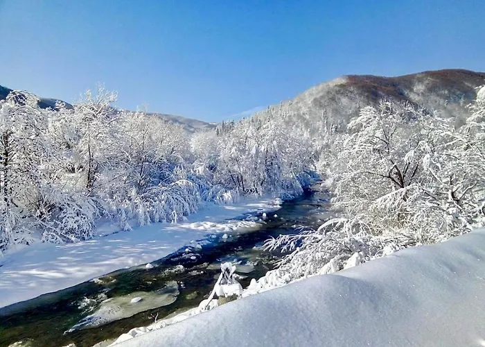 Жива Вода
