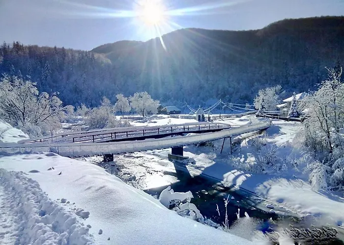 Жива Вода