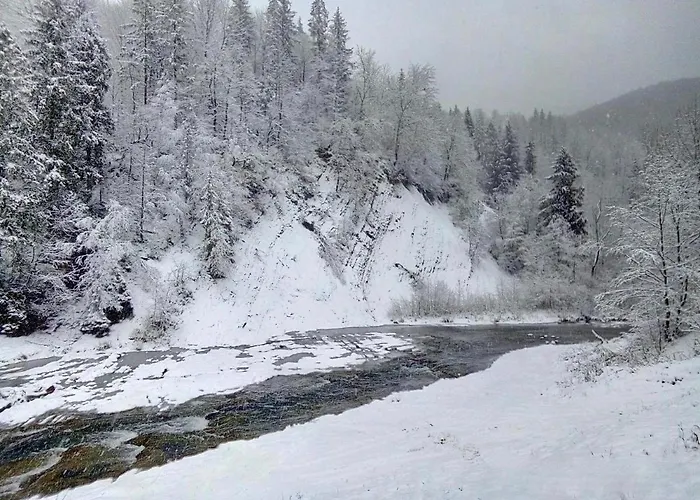 Жива Вода