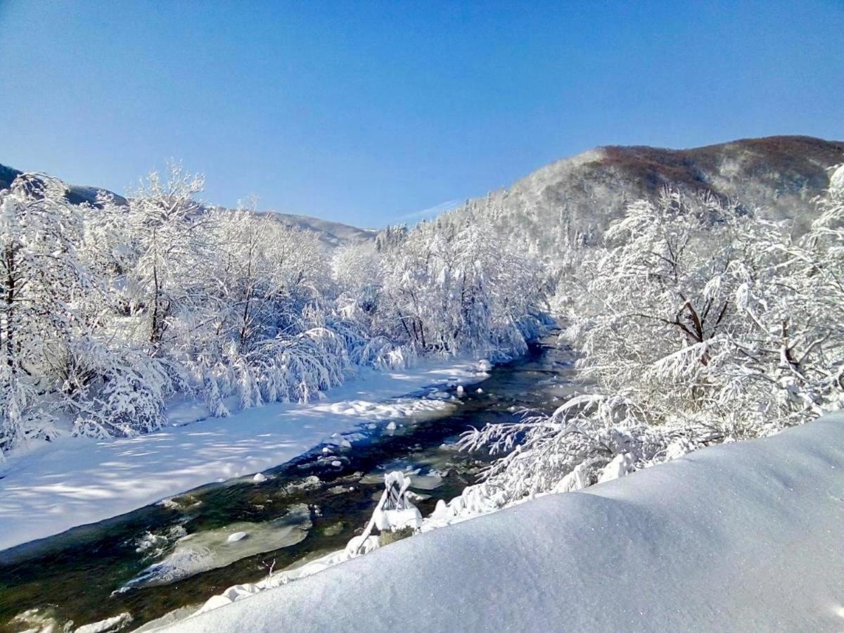 жива вода *