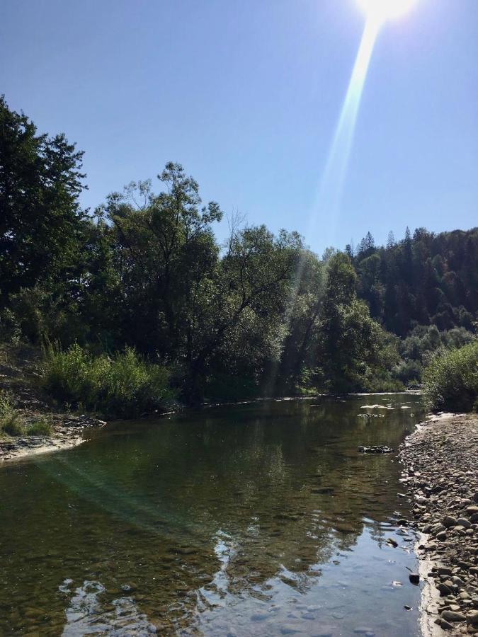 жива вода * Sheshory